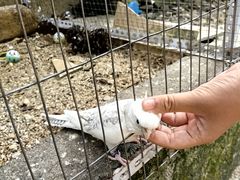 -东莞楼农家菜(金海湾大道分店)