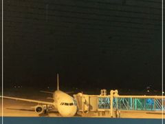 -威海大水泊国际机场