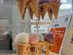-野人先生现做冰淇淋(北京环宇荟店)