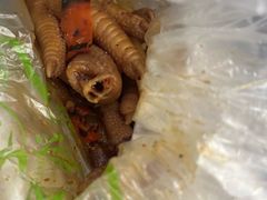 -雪儿钱局泡菜