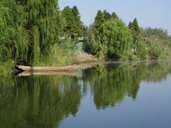 -溱湖国家湿地公园