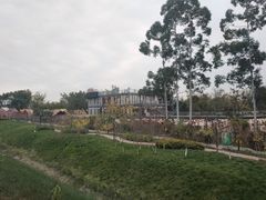 -三圣花乡旅游区