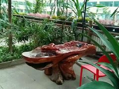 -龙脉温泉室内游泳馆