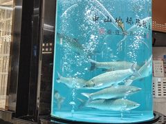 -谭厨中山传家菜.乳鸽.脆鲩鱼(华强北中航城店)