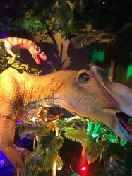 -恐龙探索乐园(磁器口店)