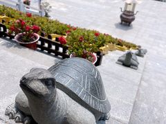 -莆田湄洲妈祖祖庙