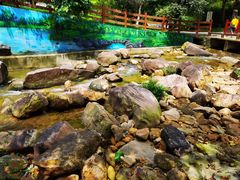 -广州白江湖森林公园