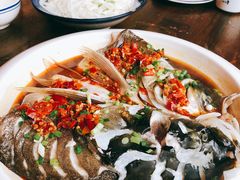 -印象鲵宴·张家界地标美食名片(溪布街店)