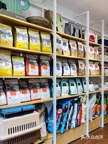 准备接一只小猫回家，需要提前购买猫咪的一些生活用品