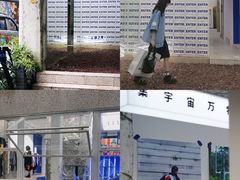 -泡桐树街