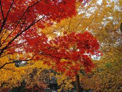 -金牛体育中心(金牛体育馆店)
