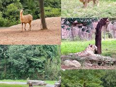 -杭州野生动物世界