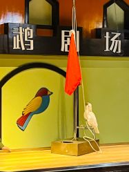 -未来动物城动物主题公园(大悦城店)
