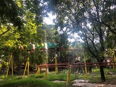 -朝阳公园游乐园