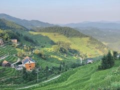 -紫鹊界梯田景区