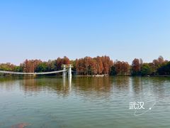 -东湖落雁景区