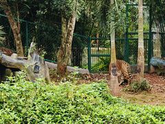 -海南热带野生动植物园