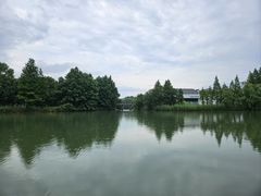 -苏州太湖国家湿地公园