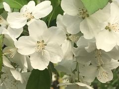 -大宁灵石公园西门票处