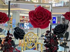 -红星美凯龙(北京北四环店)
