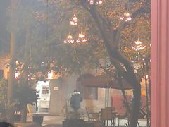 -生宇山珍野生菌汤锅•始于2002(双流古塔店)