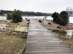 -美兰湖景区