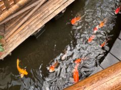 -上海大自然野生昆虫馆(东方明珠·爬宠昆虫探索中心)