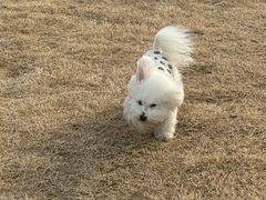 -comecome来吧宠物(奥克斯中心店)