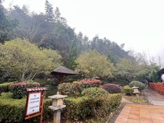 -明月山天沐温泉度假村