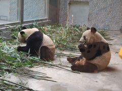 -西安秦岭野生动物园