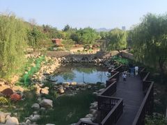 -竹子庵公园