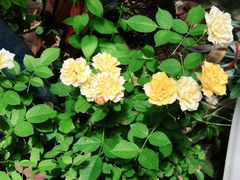 -又见炊烟私房菜(敬亭路店)