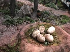 -湖南省地质博物馆