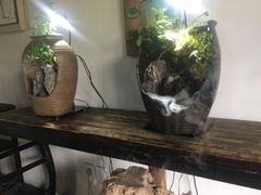 -月栖华明-云间草堂清茶馆(泗泾古镇店)