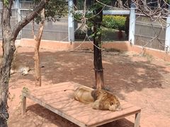 -昆明动物园