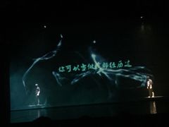-合肥大剧院