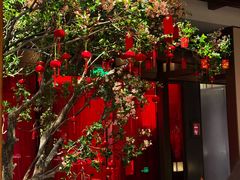 -星·South Beauty·俏江南(国贸店)