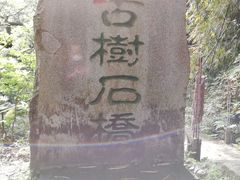 -南山植物园