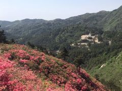 -木兰云雾山