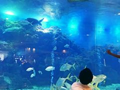 -三亚亚龙湾雅高美爵酒店