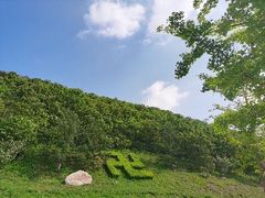 -大连圣亚海洋世界