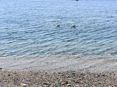 -银沙滩浴场