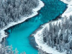 -老街冷水鱼烧烤(河堤夜市店)