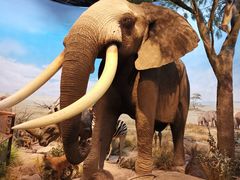 -陕西自然博物馆