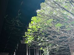 -冕宁灵山寺