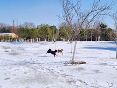 -钟山体育运动公园