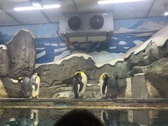 -梦幻海洋王国(吾悦广场张家港店)