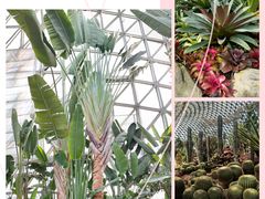 -上海辰山植物园