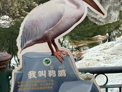 -昆明动物园