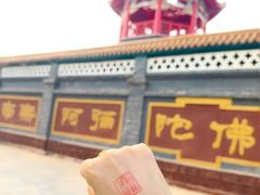-哈尔滨极乐寺